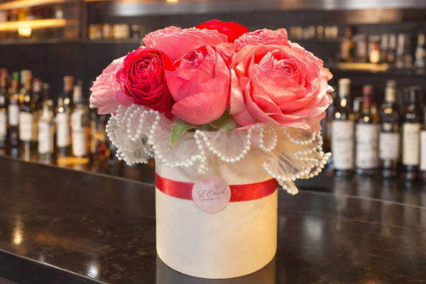 特別な贈り物 Éveil des Ailes