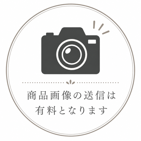 完成画像送信オプション