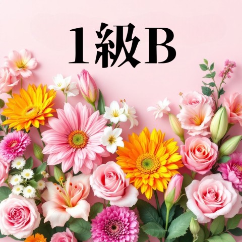 研究会　1級B