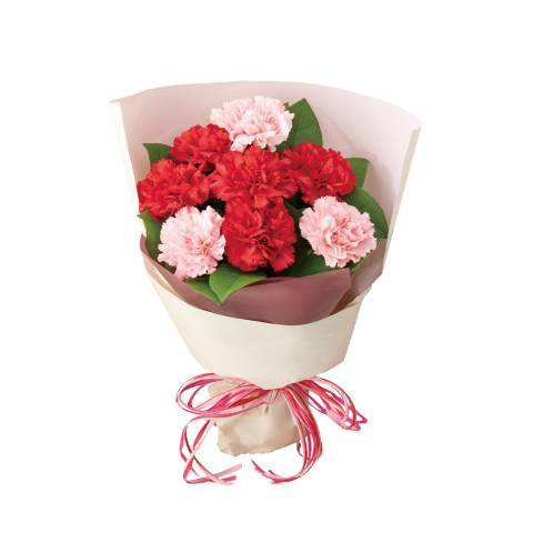 花キューピットで届けるカーネーションの花束（レッド）商品№521350