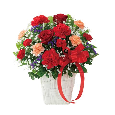 花キューピットで届ける 赤バラとカーネーションの母の日アレンジメント  商品№521360