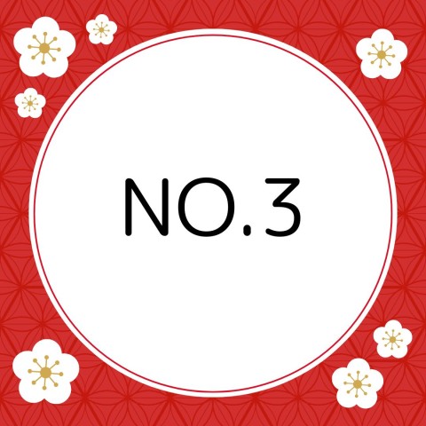 No3  小松・中菊・千両
