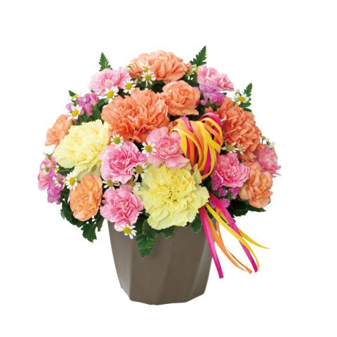 花キューピットで届ける カーネーションのハミングアレンジメント（オレンジ） 商品№521368